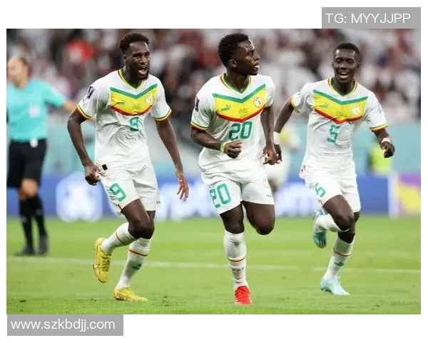 南非与塞内加尔激战正酣谁将赢得这场非洲足球盛宴